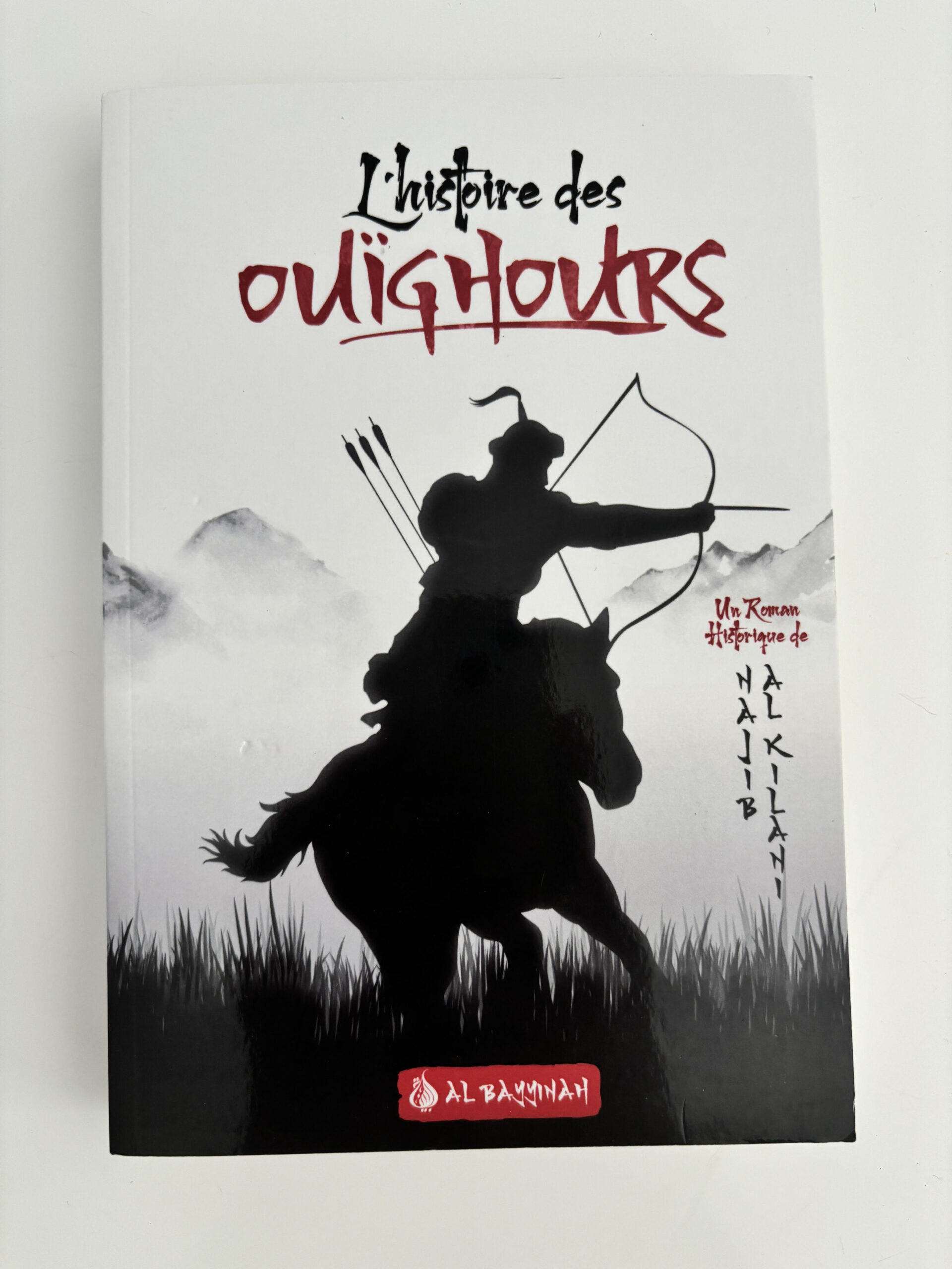 Couverture du livre 'L'histoire des Ouïghours' publié par les éditions Bayyinah, racontant l'histoire et les défis du peuple ouïghour.