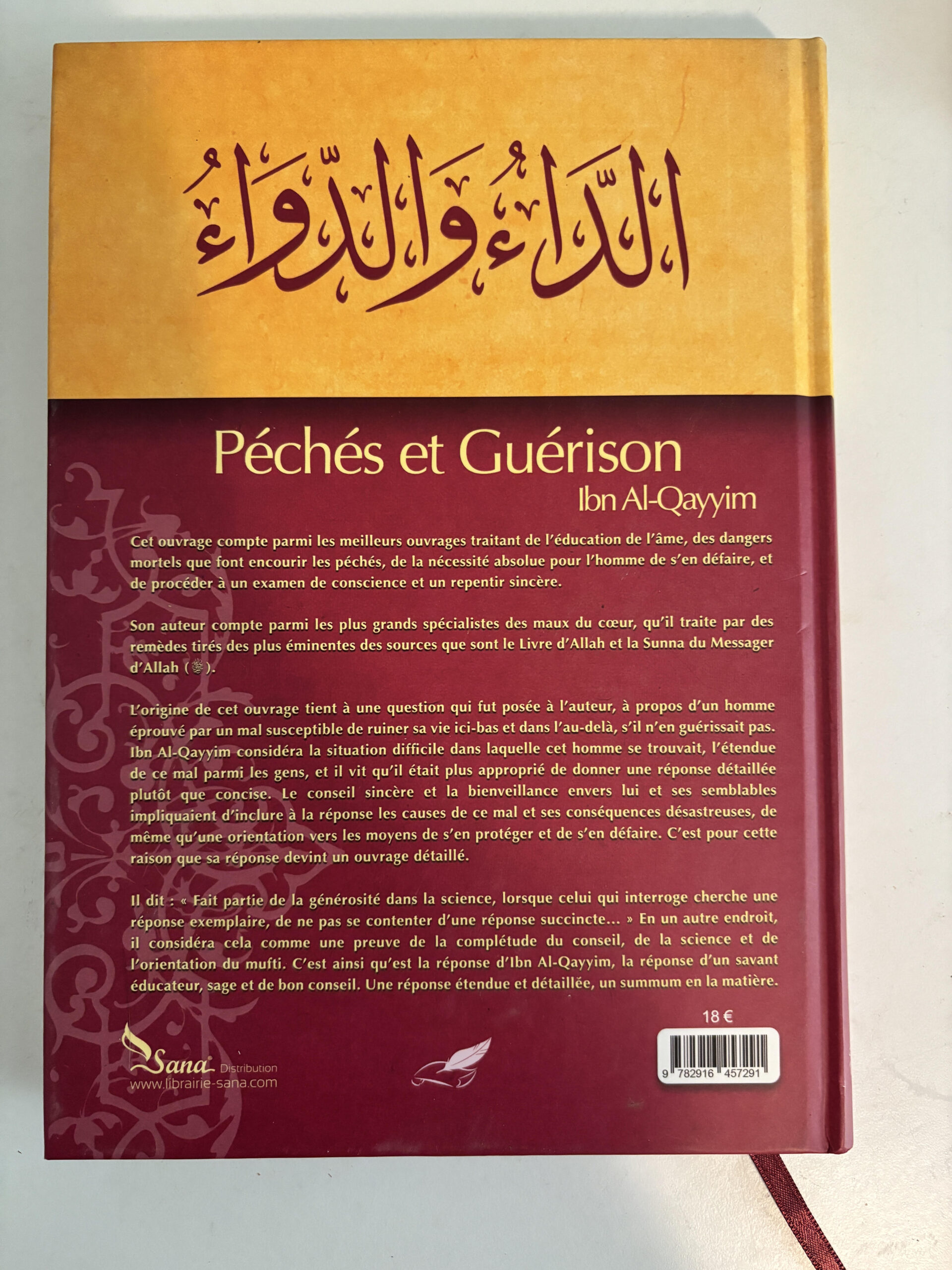 résumé Péchés et guérison du coeur Ibn Al-qayyim editions tawbah Livre spiritualité