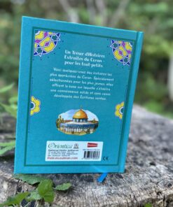 Alternative view of Les récits du Coran - Saniyasnain Khan - Editions orientica