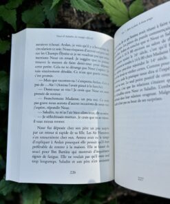 Alternative view of Nour et Saladin, les labyrinthes du Temps - Tome 4 Saga Saladin- Lyess Chacal - Editions Oryms