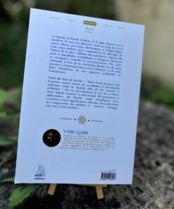 Alternative view of Les Paraboles du Qur'an - Yasir Qadhi - Muslim City