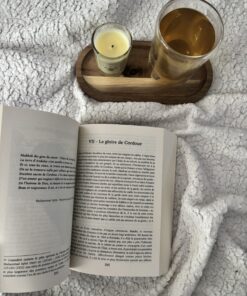 Alternative view of Le Roman des Andalous, une autre histoire d'al-andalus - Issa Meyer - Editions Ribatb