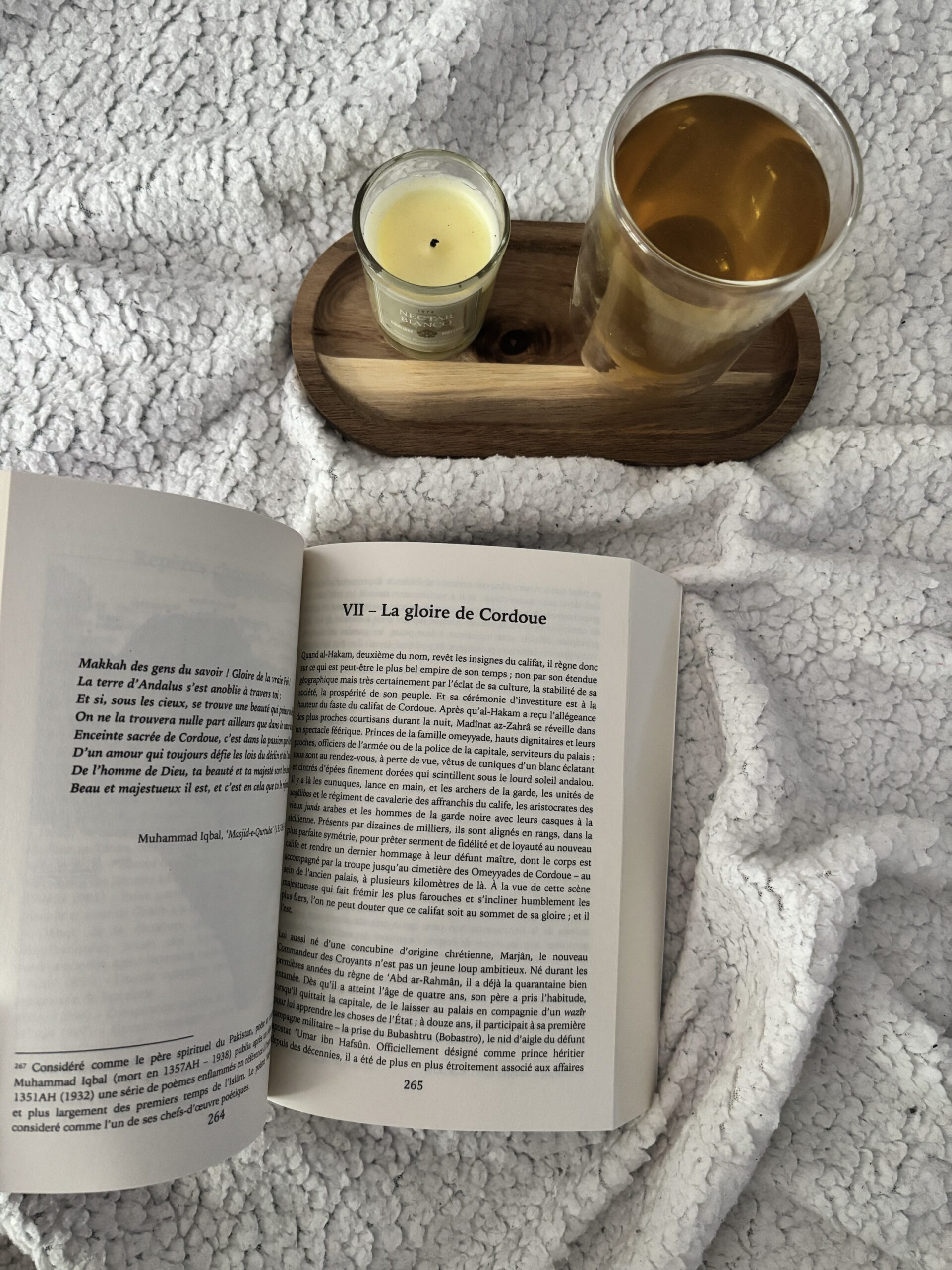 Le Roman des Andalous, une autre histoire d'al-andalus - Issa Meyer - Editions Ribatb – Image 2