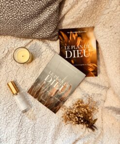 le plan de dieu tome 2 Myriam Lakhdar hedilina