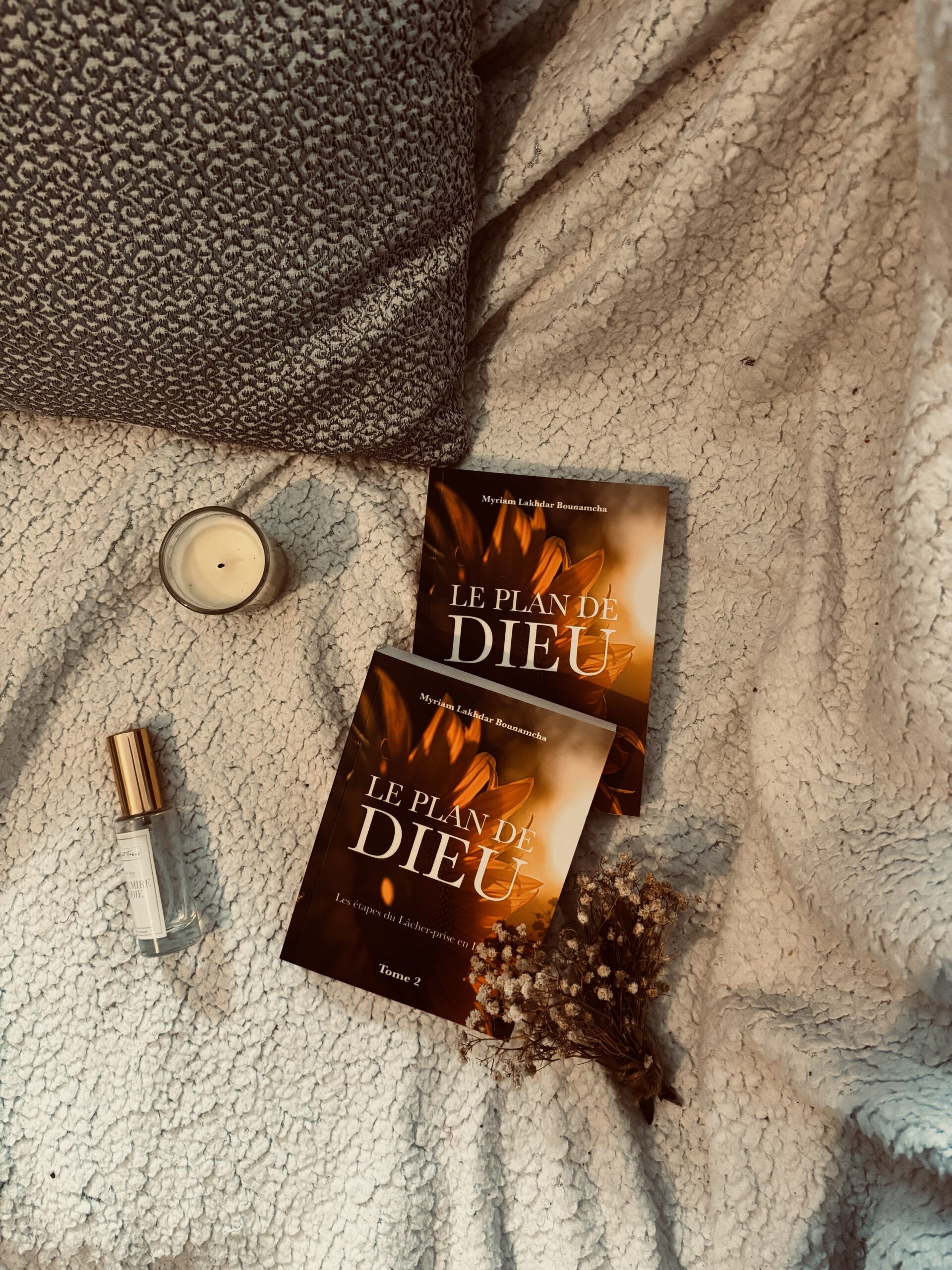 le plan de dieu tome 2 Myriam Lakhdar hedilina