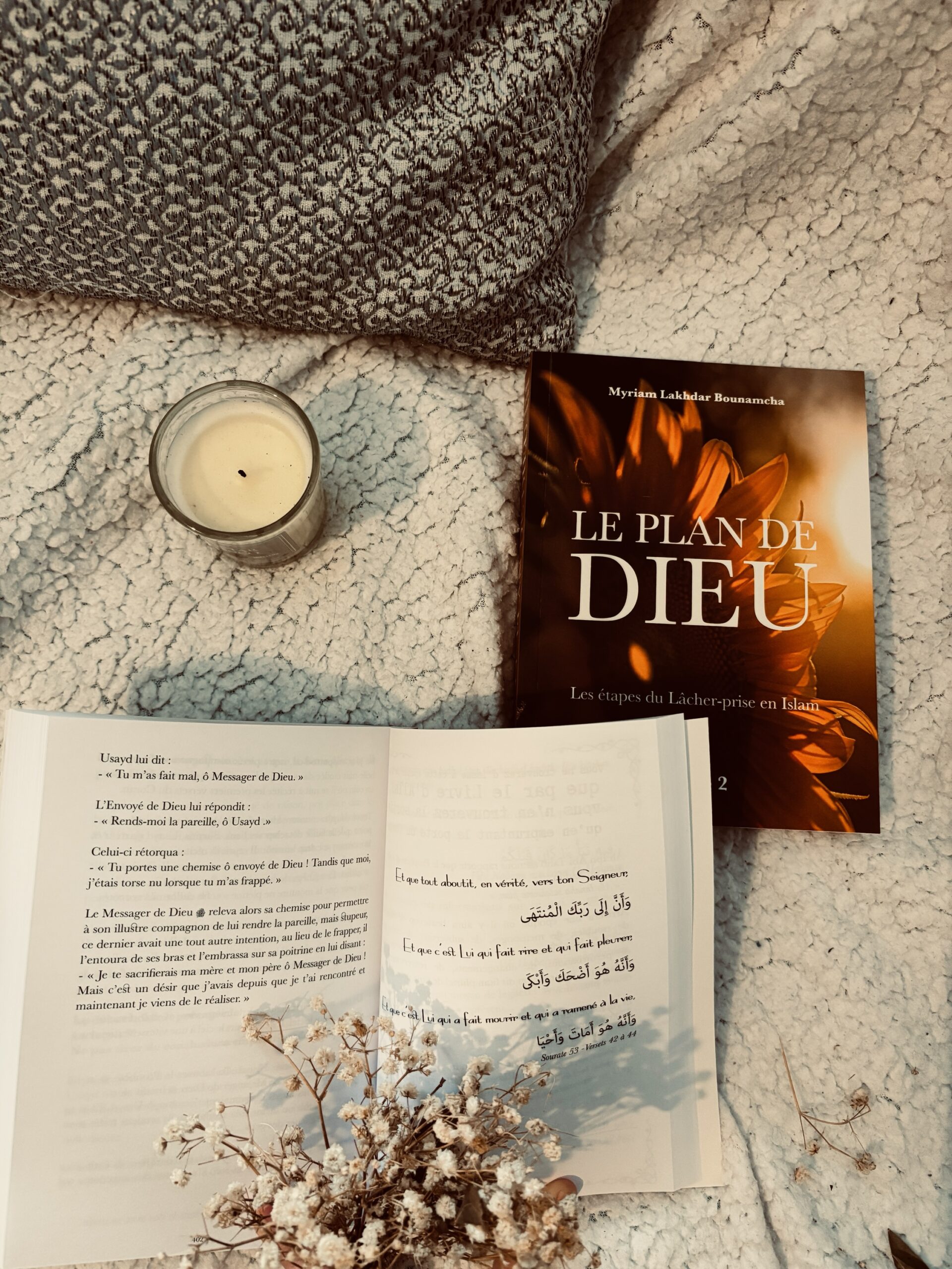 le plan de dieu tome 2 Myriam Lakhdar hedilina