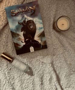 Couverture de Saladin, Tome 3 de Lyess Chacal – Un voyage historique dans le monde arabo-musulman.
