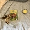 jeu la prière madrassanimé