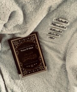 résumé-compréhension-des-beaux-noms-d-allah-abd-ar-razzaq-ibn-abd-al-muhsin-al-badr-editions-ibn-badis-resume