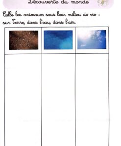 Alternative view of Mon tout premier cahier d'activités Montessori du ramadan avec Bébé Ali - 2-5 ans - Faëda Bouiss - Bébé Ali